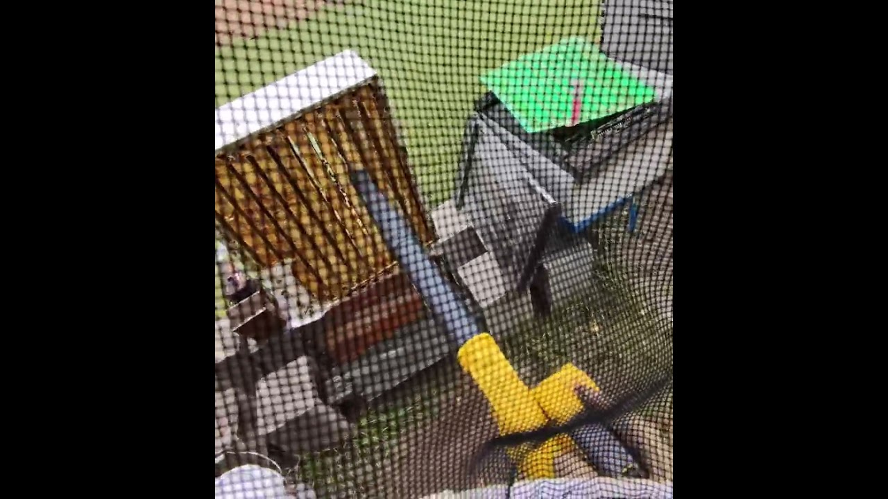 POV Beekeeping 👓 | Elm Grove Apiary | Fast Moves, SHB & Pulling Supers 🐝