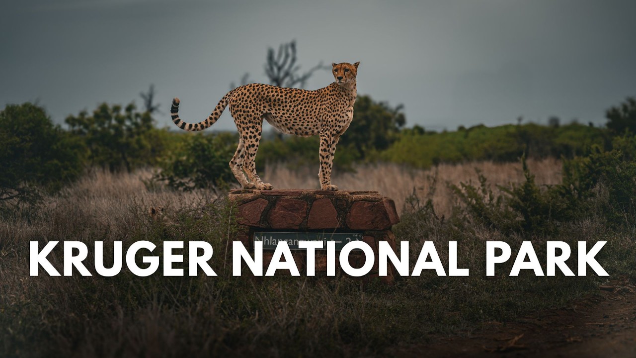 Ep. 4 | Kruger National Park - CROCODILE BRIDGE in Summer