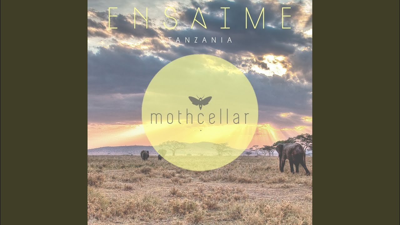 Tanzania (Original Mix)
