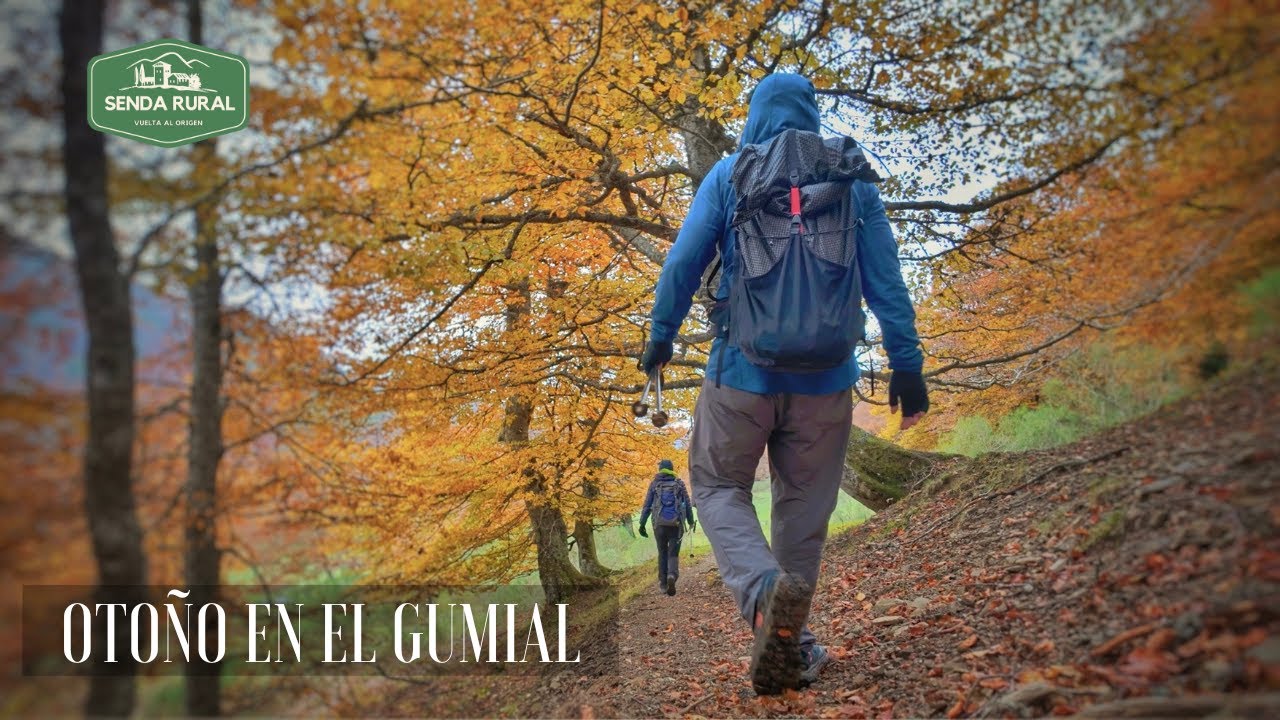 Un HAYEDO ASTURIANO en otoño: el increíble BOSQUE de EL GUMIAL