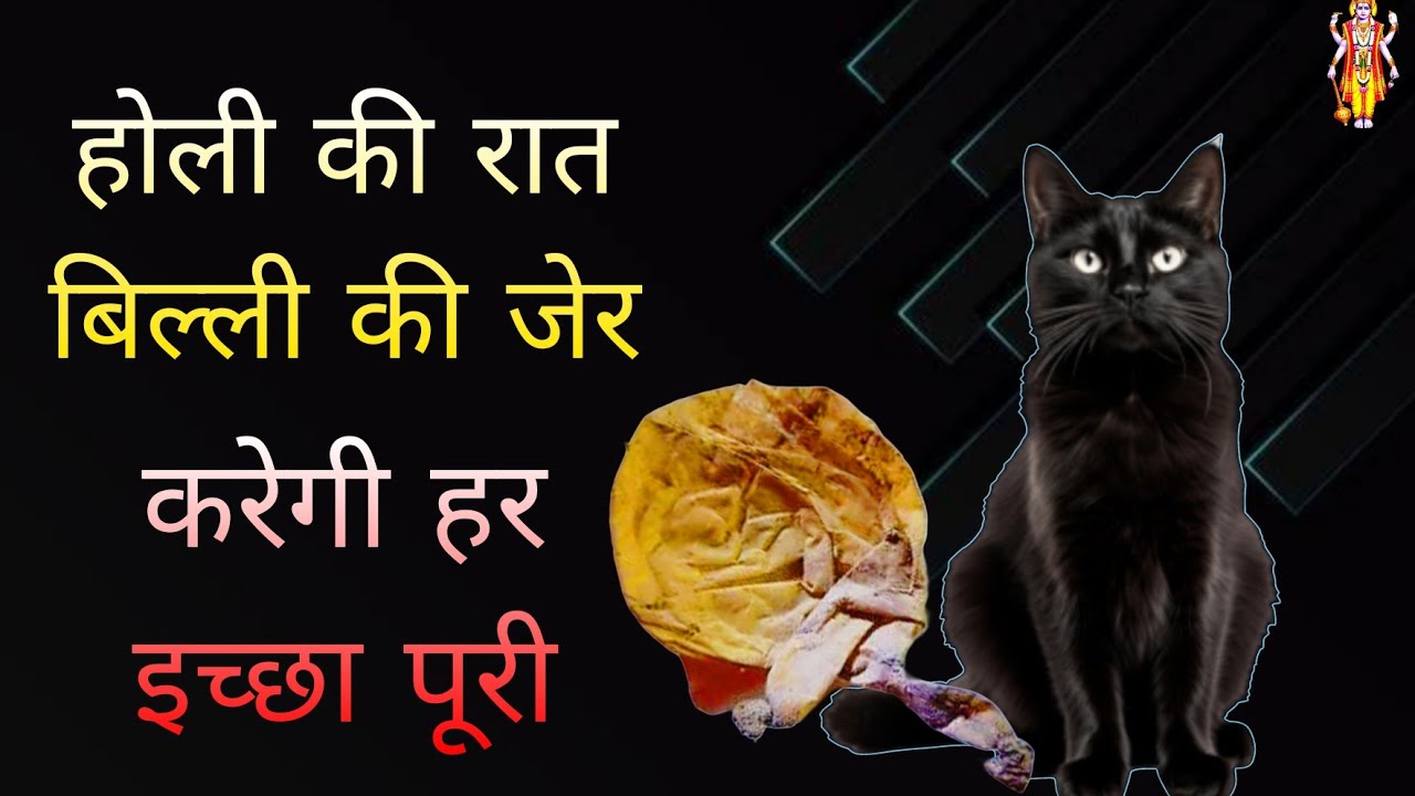 बिल्ली की जेर को सिद्ध करने की सही विधि | होली की रात करें यह साधना