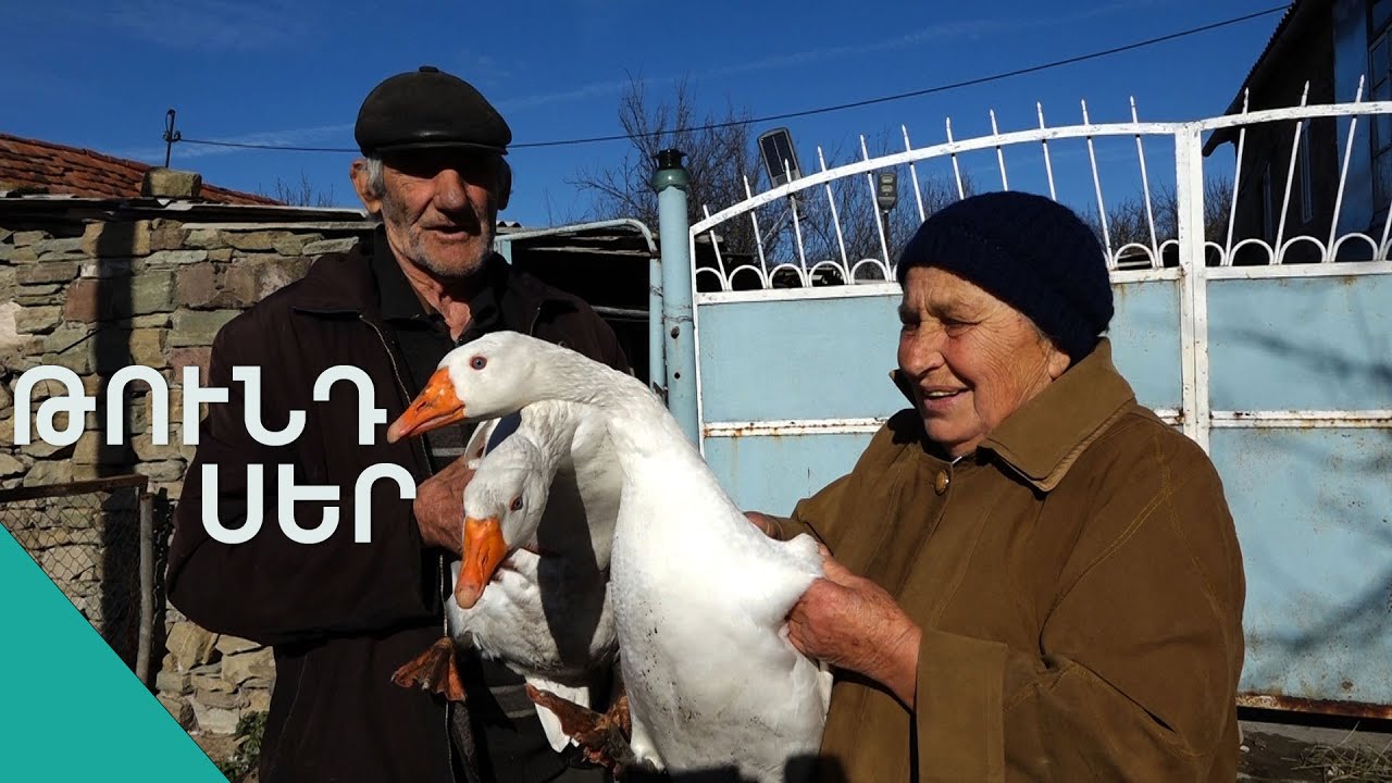 Մազերս ուրշի բարձի վրա կորցնում չեմ. Սերյոժա պապը հավատարիմ է