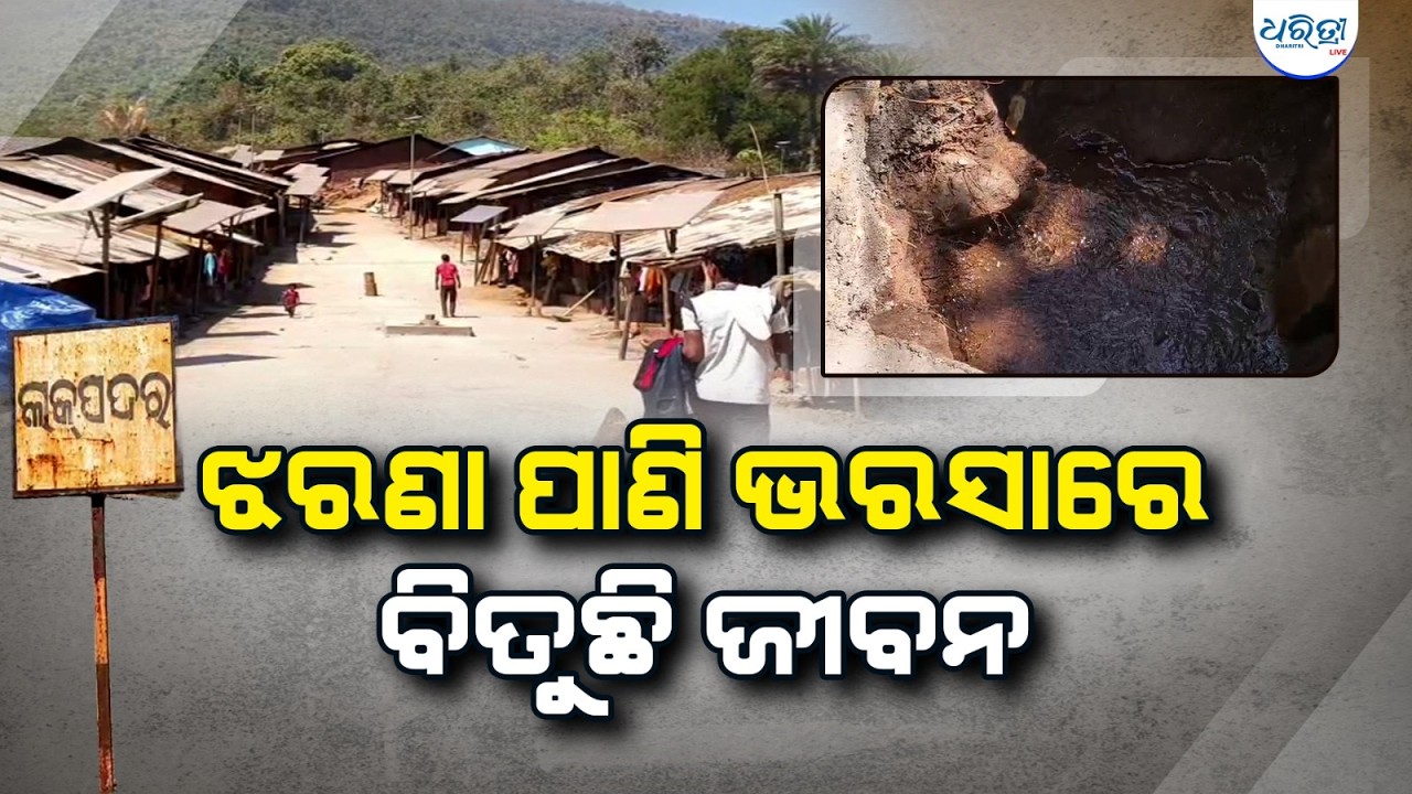 ଝରଣା ପାଣି ଭରସାରେ ବିତୁଛି ଜୀବନ | Water Problem | Road Problem | Rayagad | Dharitri