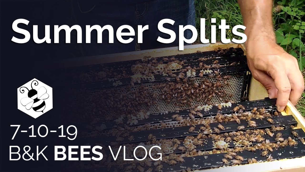 Summer Splits - 7-10-19