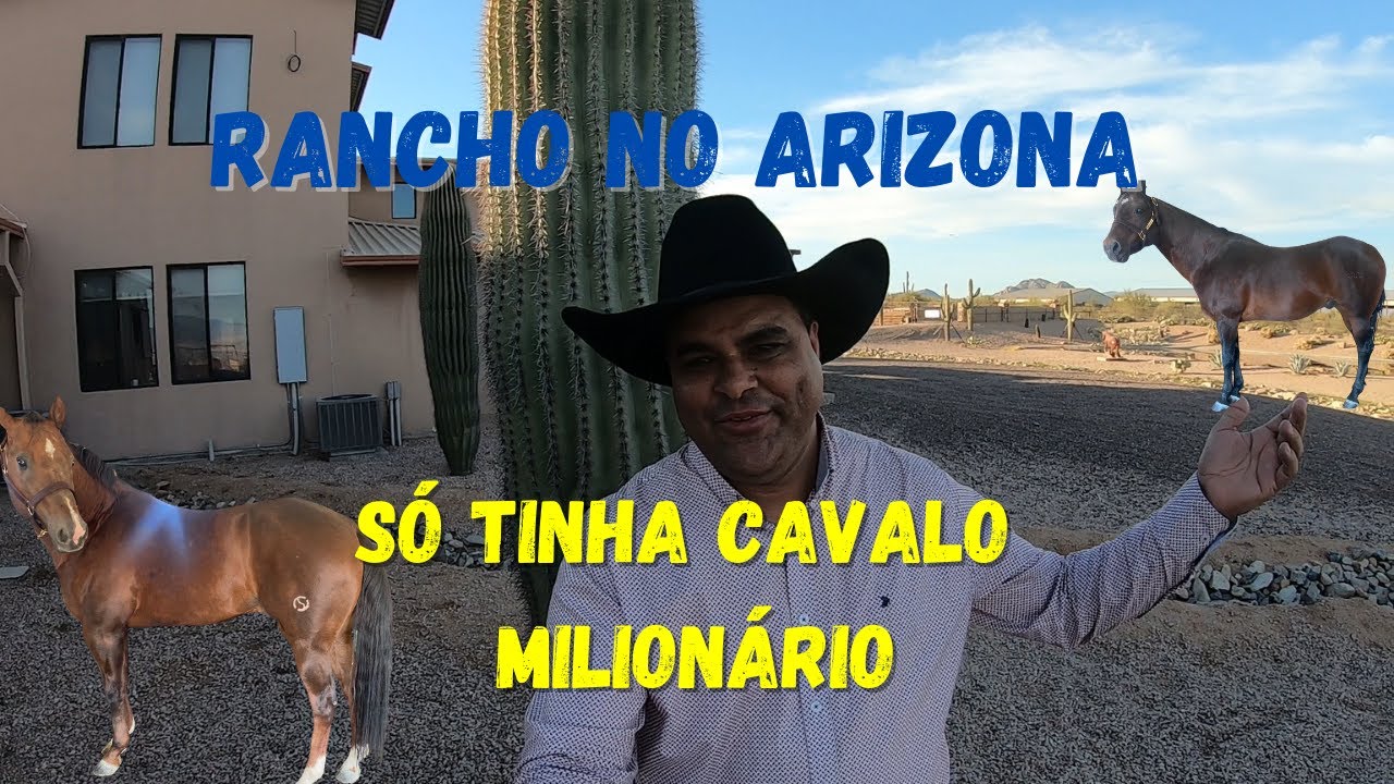 Visitei um rancho no ARIZONA com vários animais com UM MILHÃO  DE DOLARES de valor agregado