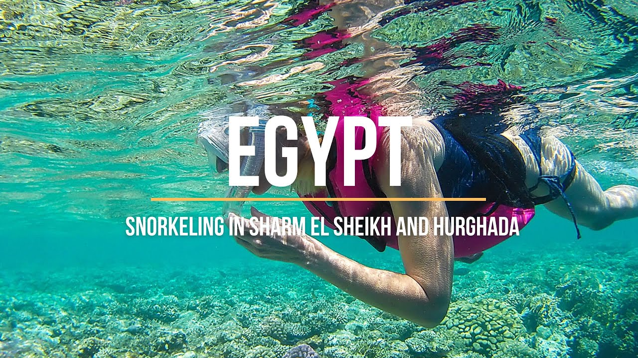 Egypt: Snorkeling in Sharm El Sheikh and Hurghada