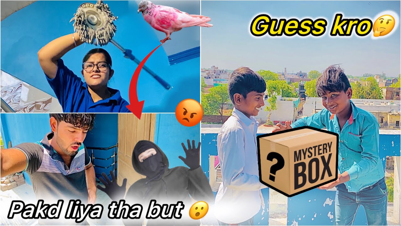 Ghr se kabutar Chori 😮 ( Plot per diya Suprise 🤔