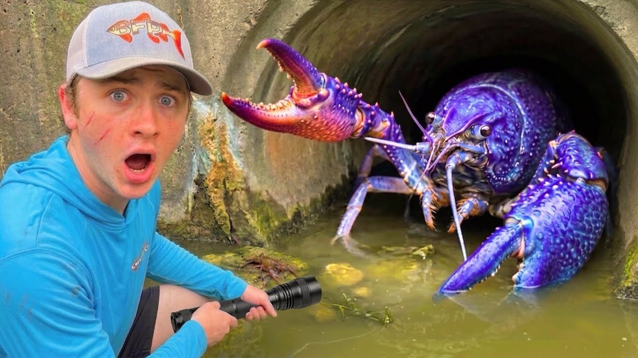 FINDING 1 in MILLION COLORFUL LOBSTER in HIDDEN TUNNEL!