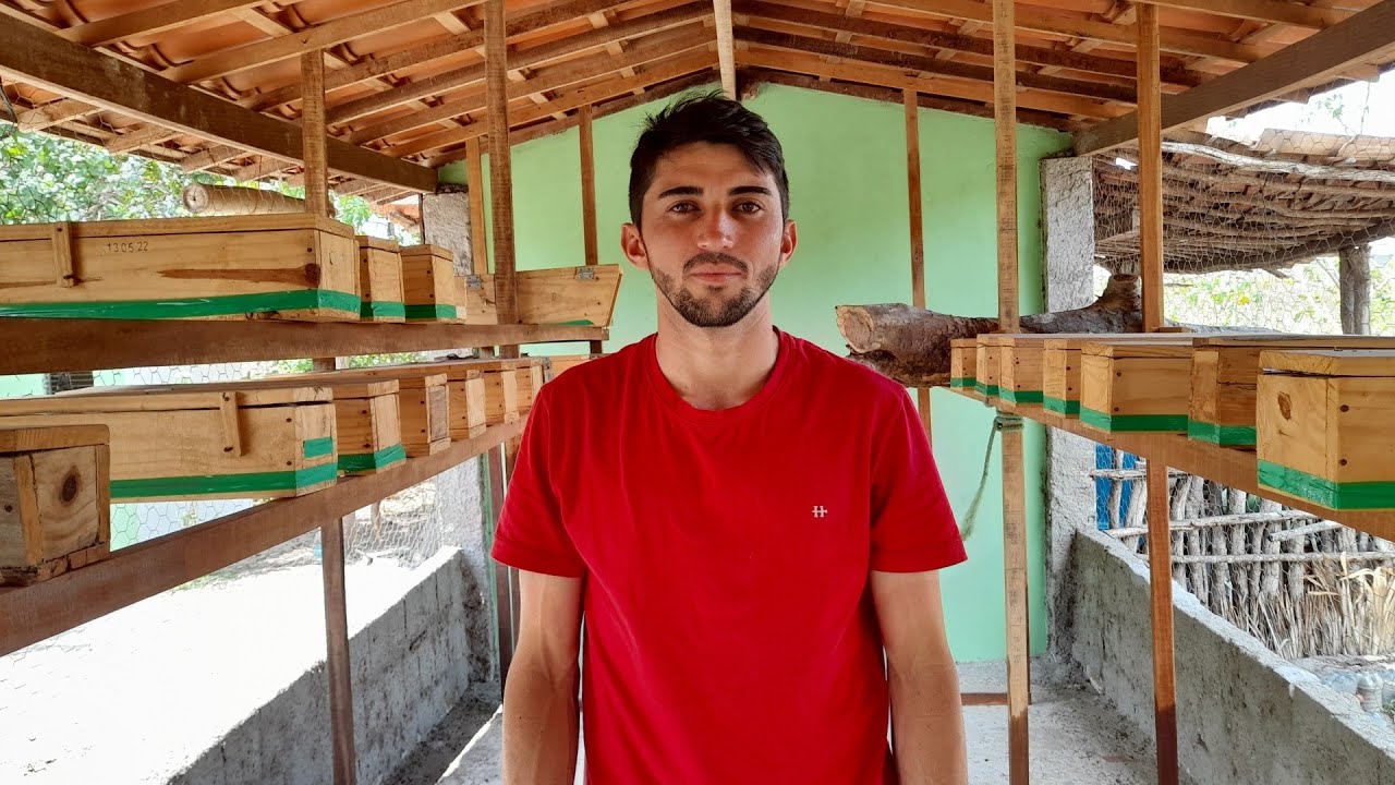 Conheça o ouro líquido do sertão: o rico mel das abelhas jandaira.