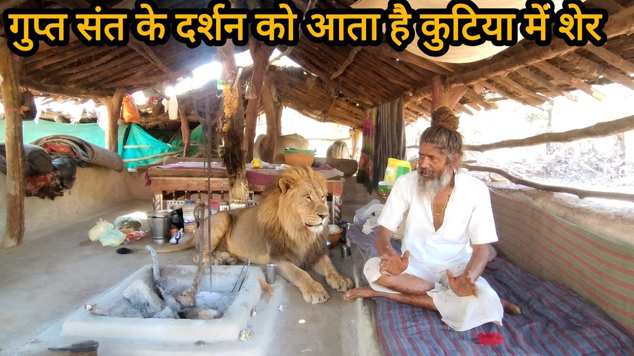 धुने कि की खुशबू पाकर दौड़े चले आते हैं जंगली जानवर