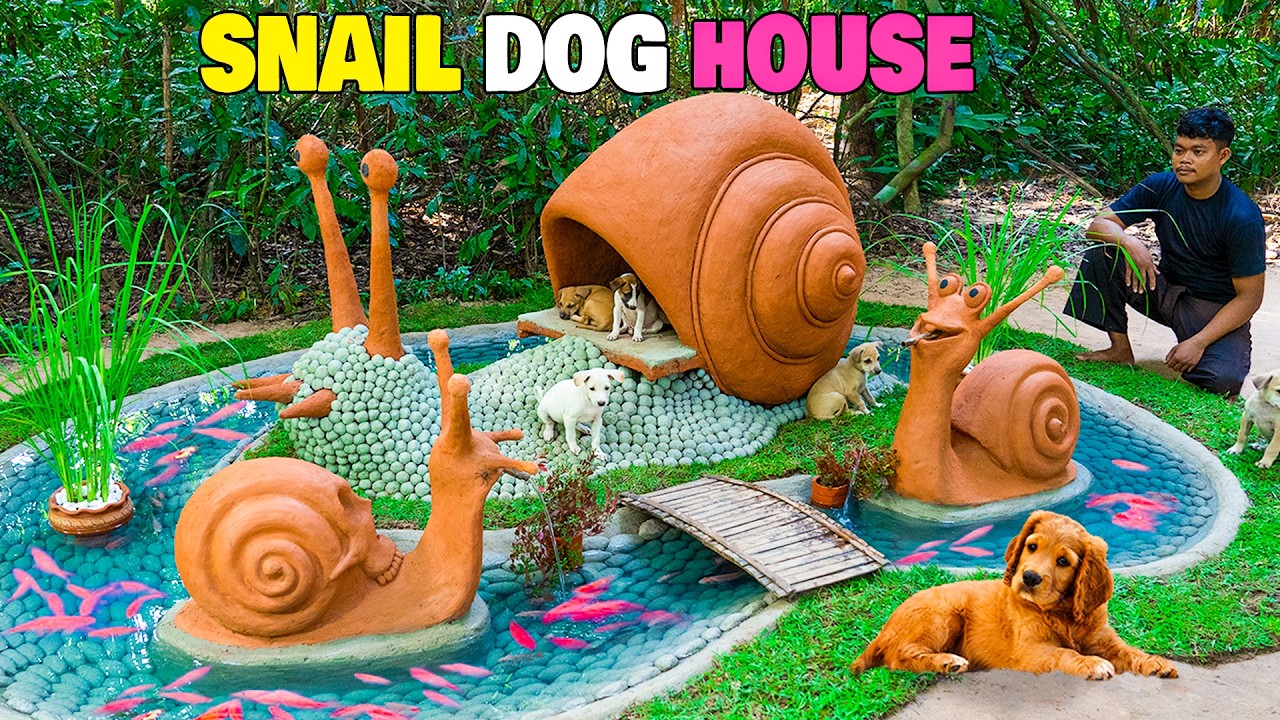 I Built a Giant Snail House for Rescued Puppies 🐶