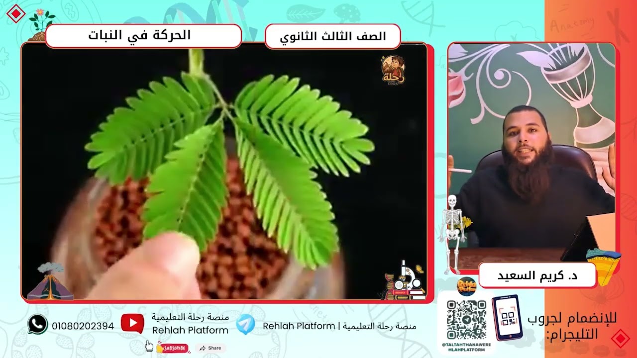 تالته ثانوي احياء || شرح درس الحركة في النبات || منصة رحلة التعليمة