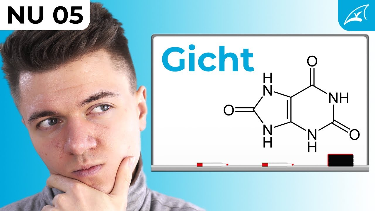 Purinabbau - einfach erklärt! // Gicht, Harnsäure & Allopurinol