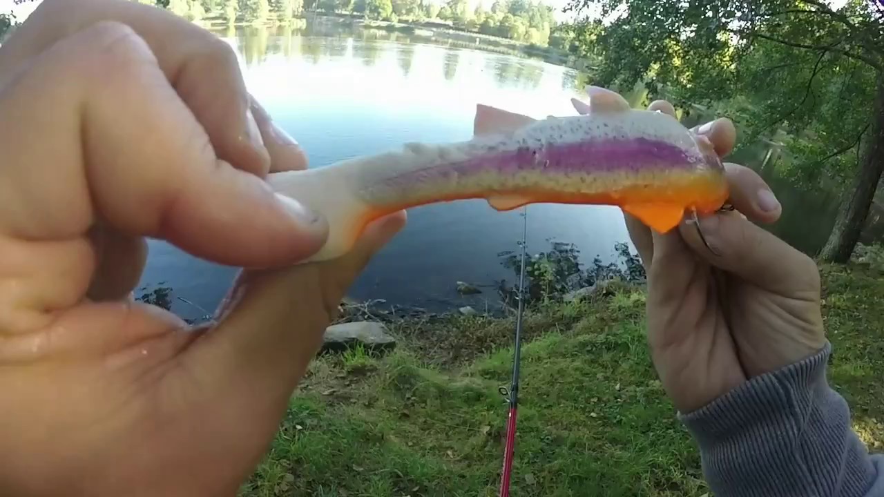 PECHE du BROCHET à la MAIN.