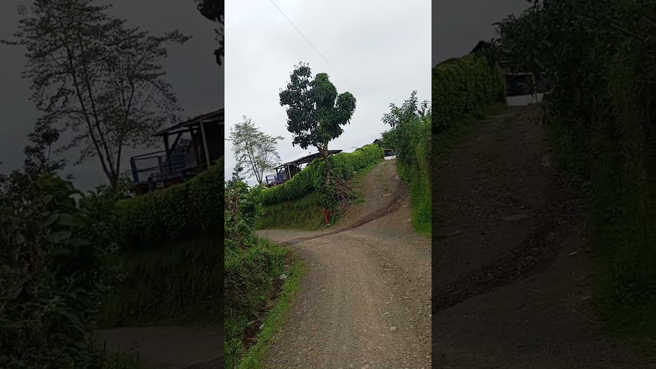 Carretera Del Chocho Entrada Guayabal Pereira Risaralda