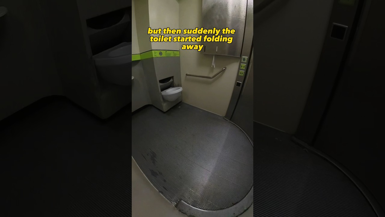 Что происходит в самоочищающемся общественном туалете 🚽