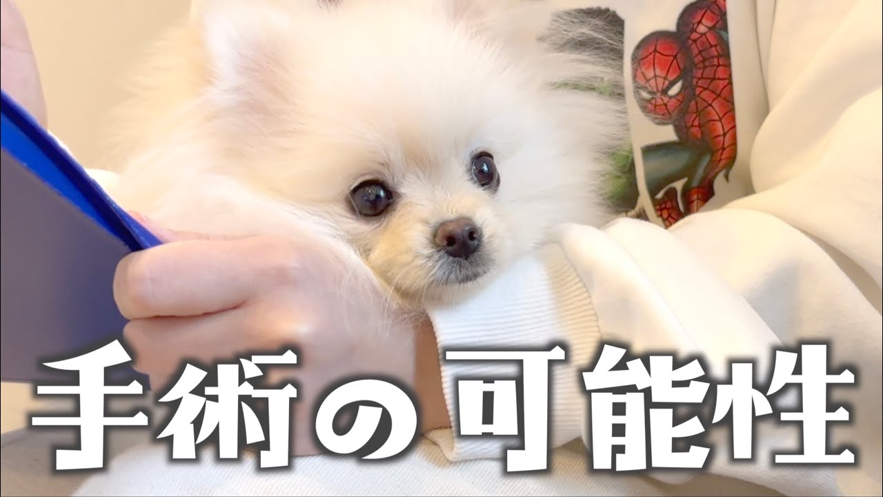 病院で手術と告げられた日