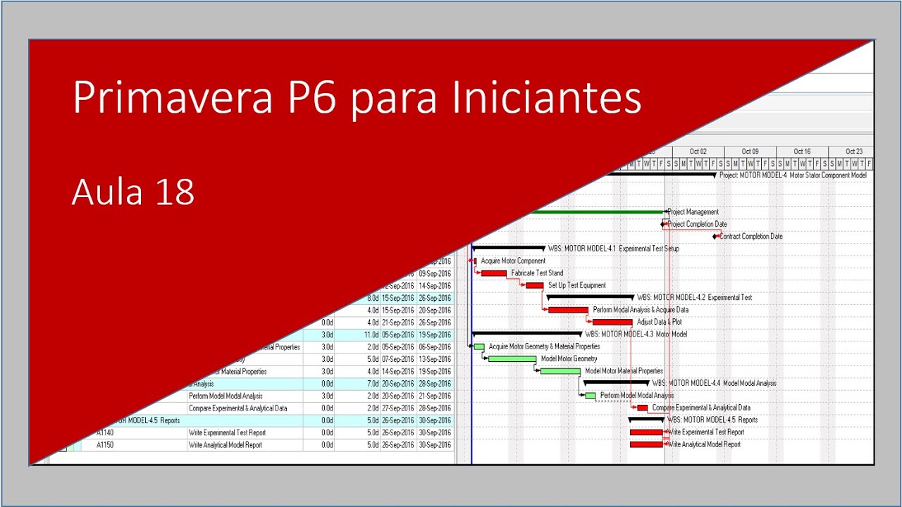 Curso Primavera P6 para Iniciantes Aula 18 #primaverap6
