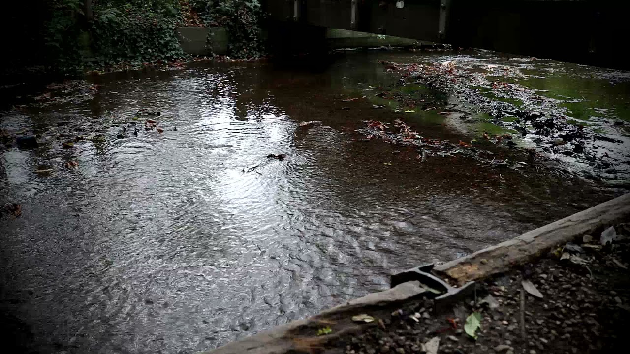 ASMR - Chilling By The Stream | Soft Spoken | Water Sounds | Roleplay