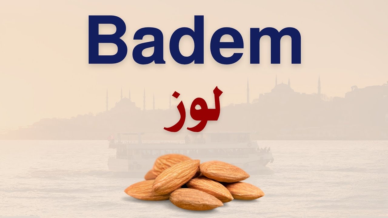 تعلم اللغة التركية بدون قواعد 🇹🇷 - تجميعة (3)