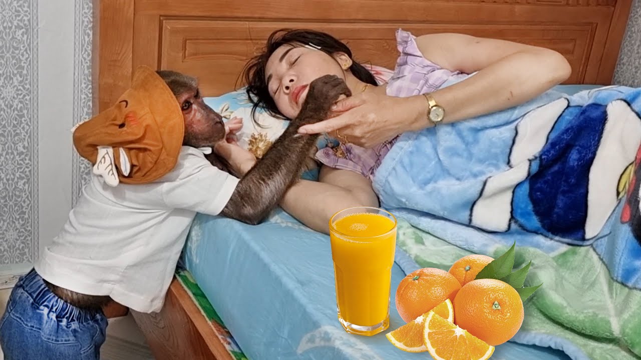 Mom is sick - Abu makes orange smoothies to take care of his mother