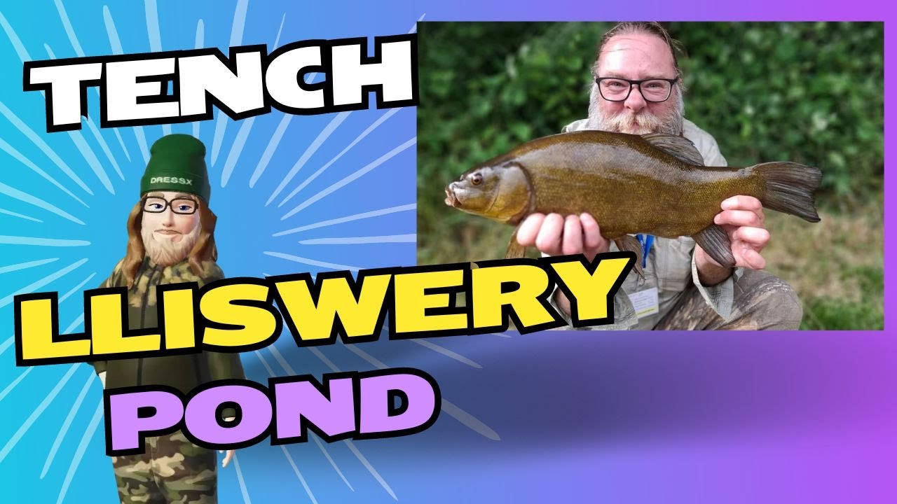An evening on Lliswerry Pond: Tench fishing