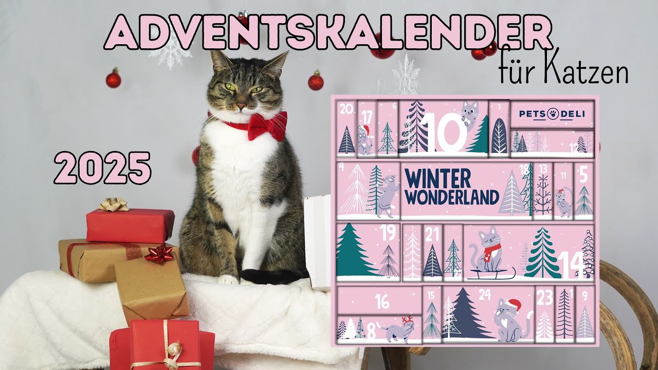 1. Adventskalender Unboxing für Katzen von PetsDeli 2025
