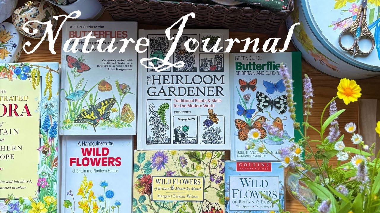Nature Sketches For The Soul | Cottage Garden Botanical Art & Inspirational Studio 🌿🌼📚