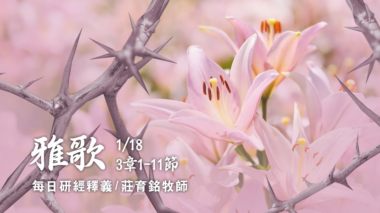 220118 雅歌 3章1~11節 錫安的眾女子啊 出去觀看所羅門王