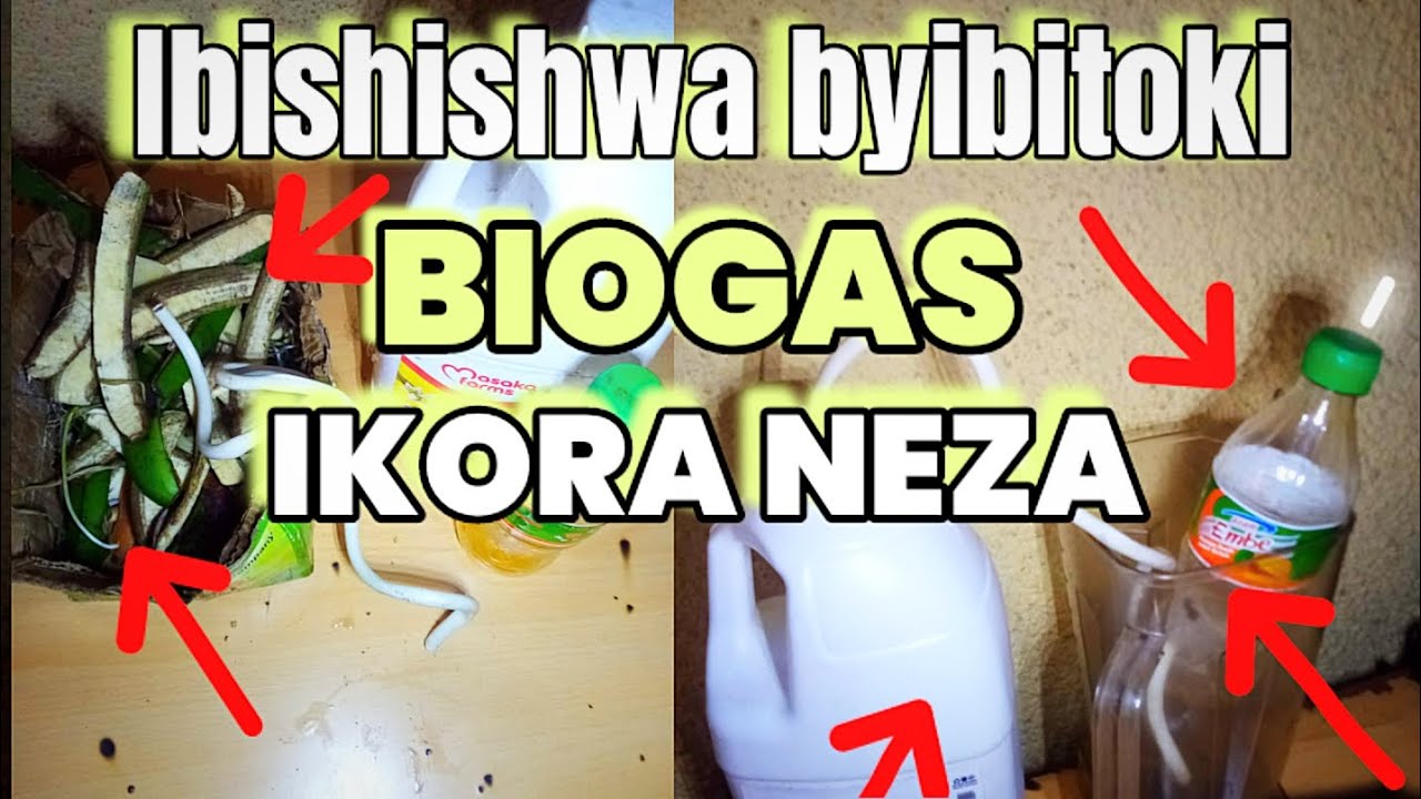 Dore uko wabyaza ibishishwa by'ibitoki mo biogas 👍ikora cyane biroroshye cyane 🤪