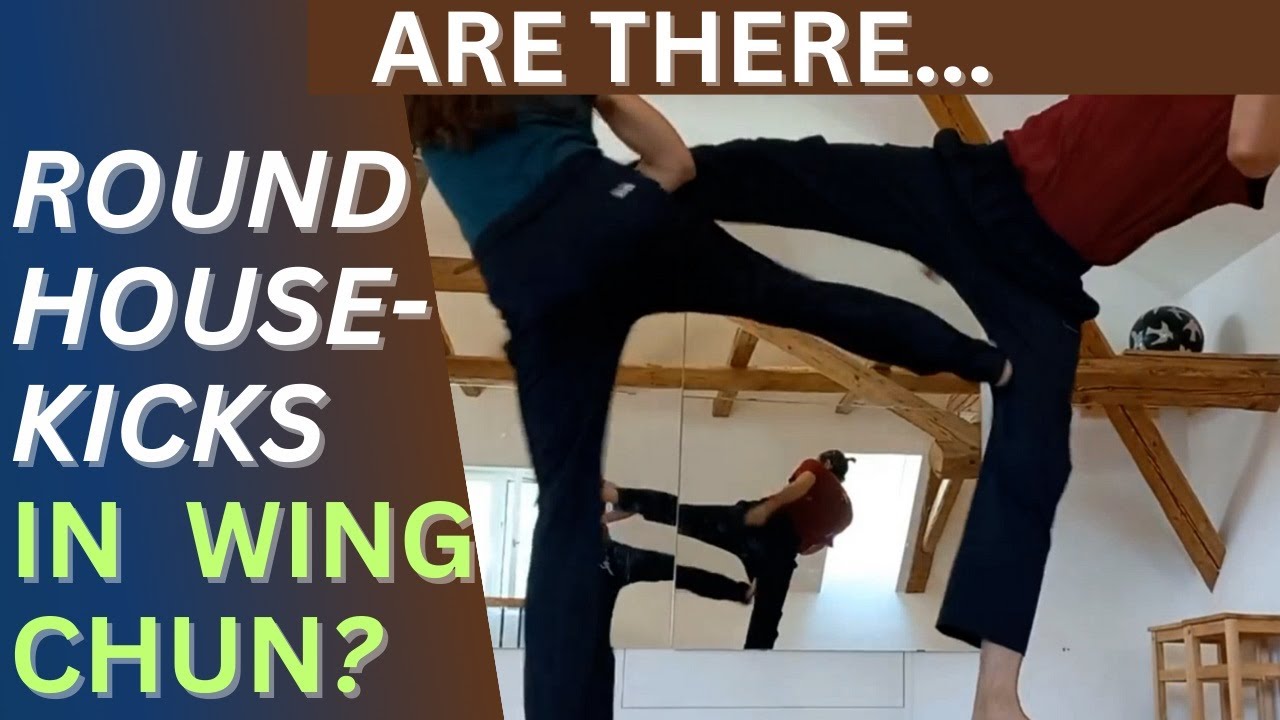 Are there ROUNDHOUSE KICKS in WING CHUN - including an interview with GRANDMASTER DONALD MAK