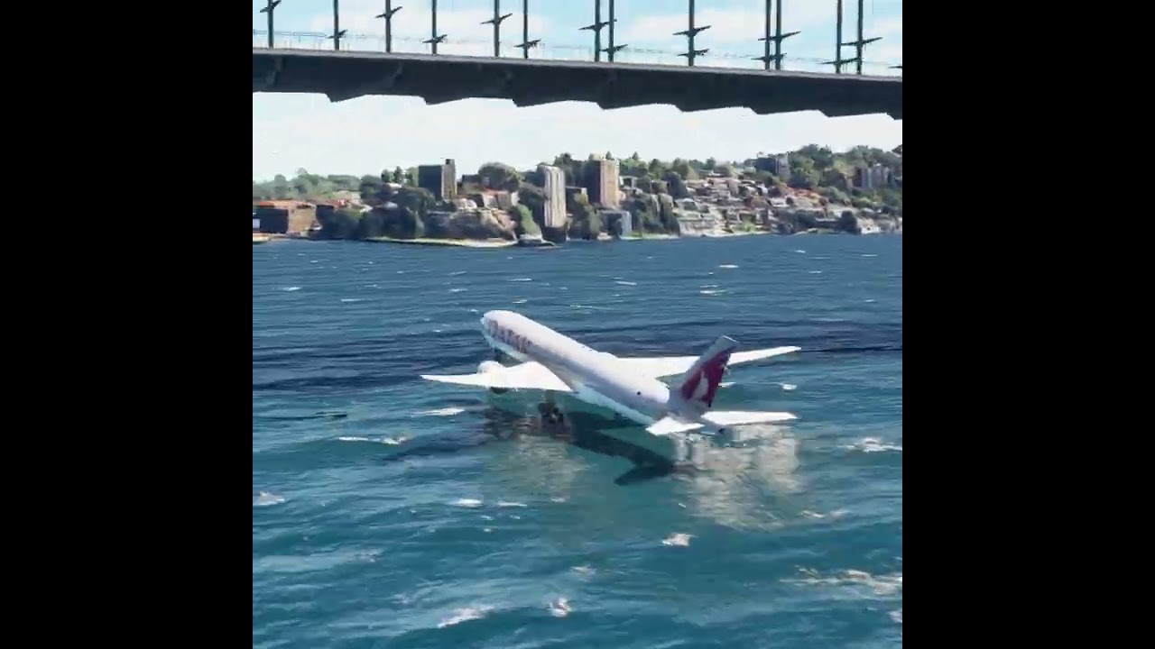 the carelessness of an airplane pilot 0201