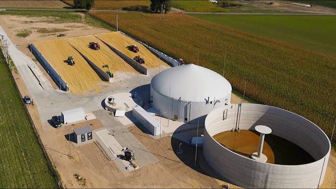 KUKURYDZA 2023 NA NOWĄ BGA ! | SKACZĄCA PRZYCZEPA !? | @romaxagro7014  | 8x GWIŻDŻĄCE FENDT'Y | NH™