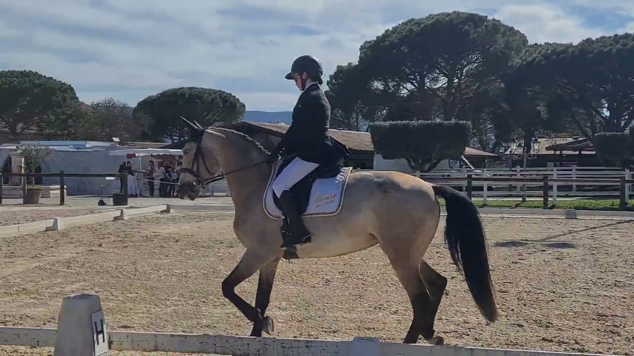 Docura Amateur 3 Preliminaire