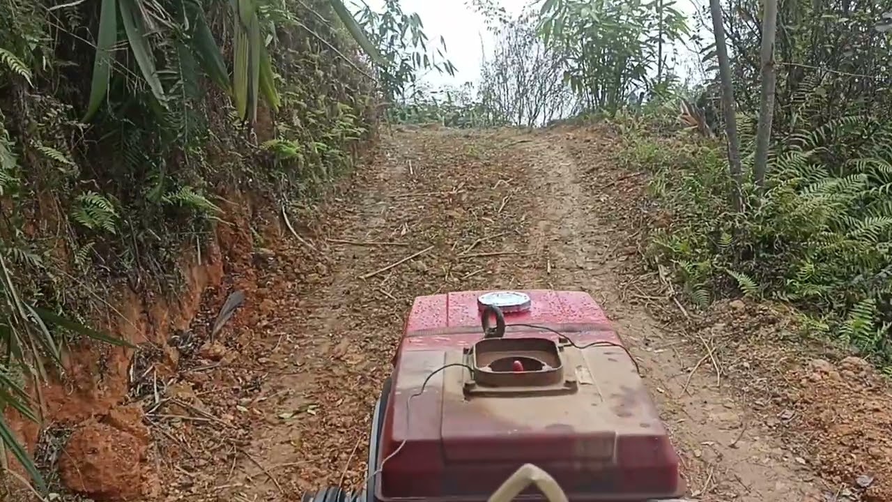 Hành trình đi kiếm bánh nhân tết..😁