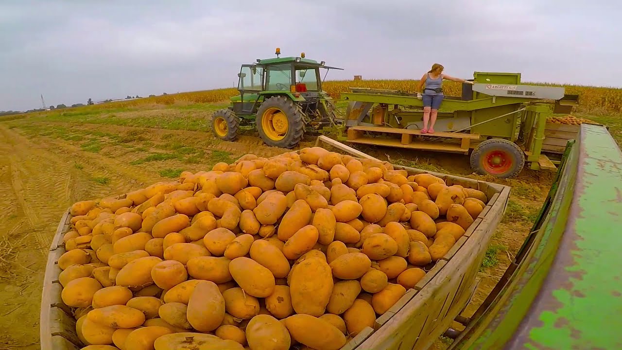 {GoPro} John Deere 2850 + Ford 6610 & Carlotti Super -Raccolta Patate-