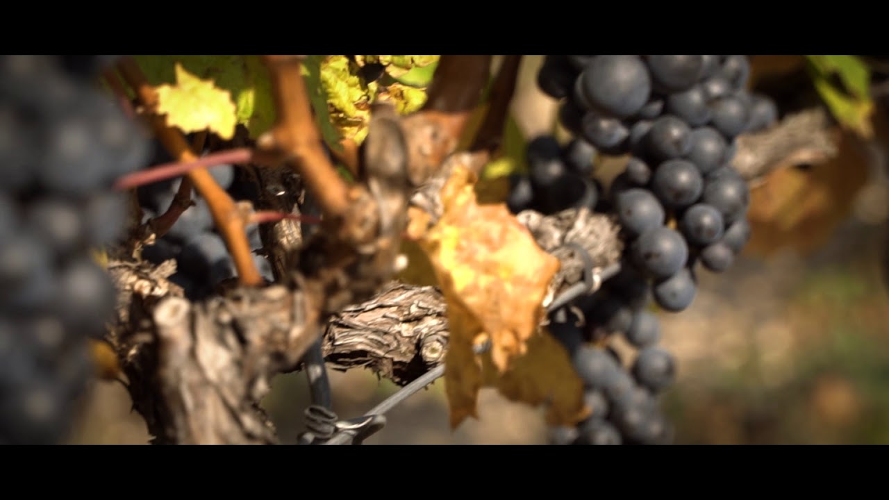 Kov&aacute;cs Nimr&oacute;d Winery presents our Nagy Eged