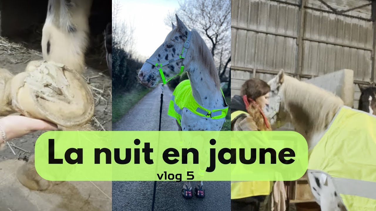 Tout de jaune vêtu - vlog 5