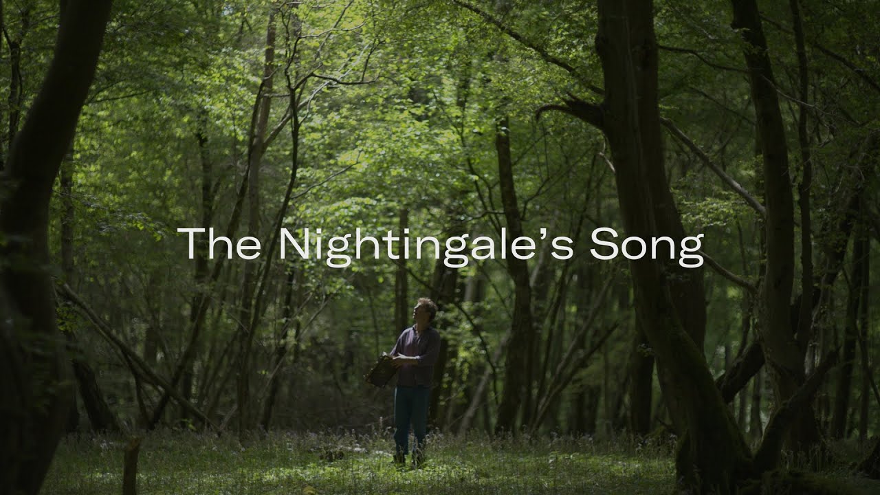 The Nightingale's Song