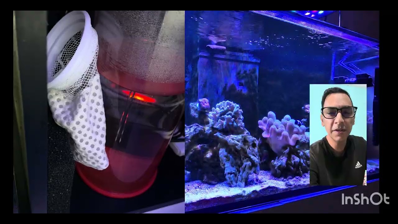 Aquarium nutrients 