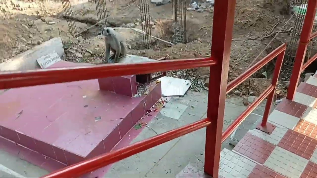मंदिर में की सफाई 