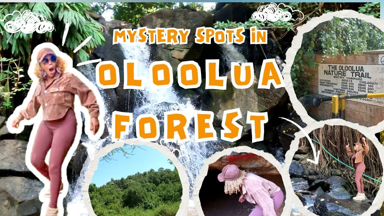 The Ultimate Adventure In Oloolua Nature Trail - Hidden Gems In Nairobi