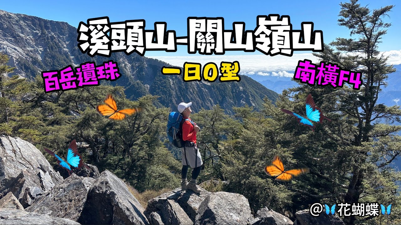 溪頭山-關山嶺山一日O型 🦋花蝴蝶🦋