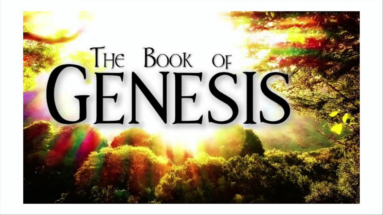 TVM Bible Study Alive