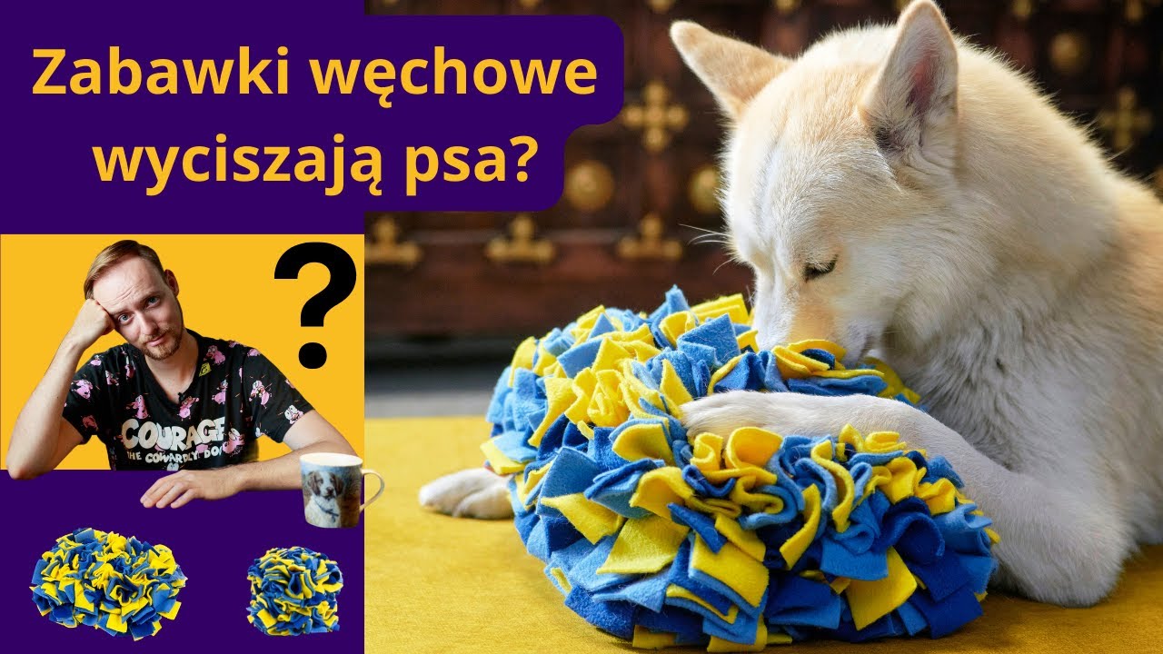 Zabawki węchowe dla psa - czy to ma sens?