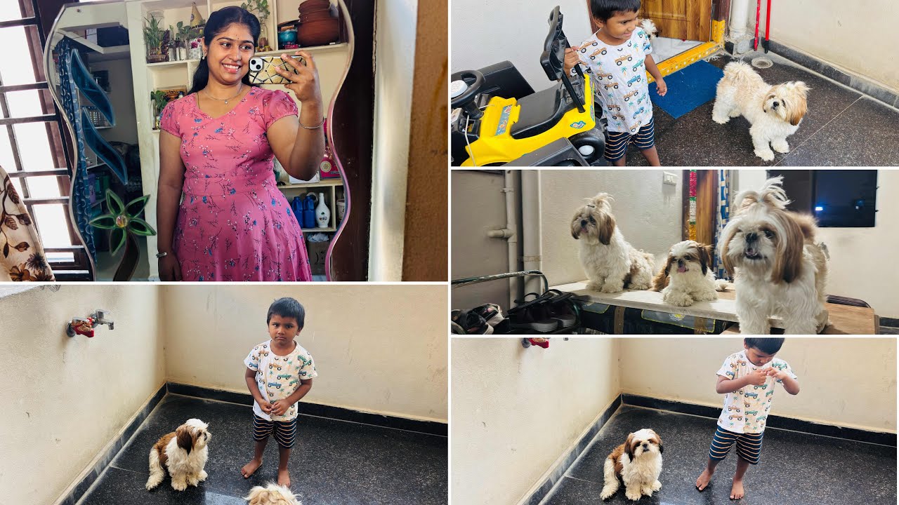 Dimlఇంట్లో ఉండడం కంటే జాబ్ చేయడం నయం అనిపిస్తుంది కానీ చైయలేం ఏదైనా పిల్లలు పుటక ముందె నేర్చుకోవాలి 