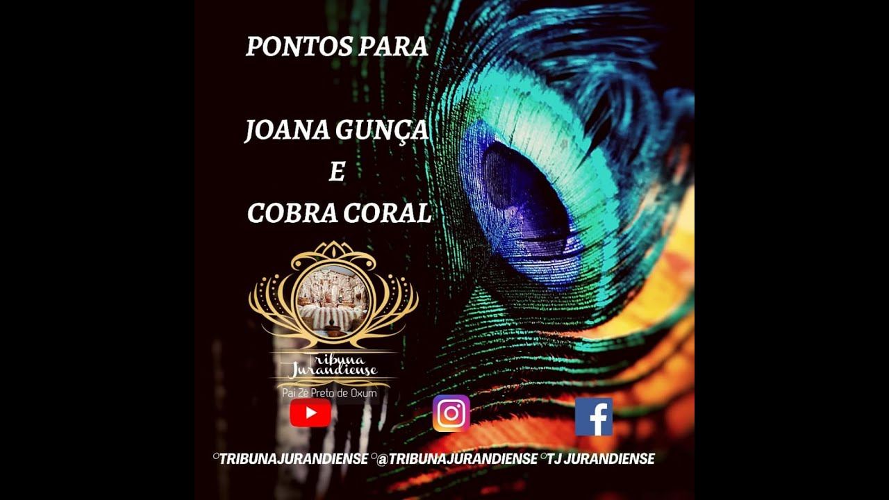 Pontos para dona Joana Gunça e seu Cobra Coral