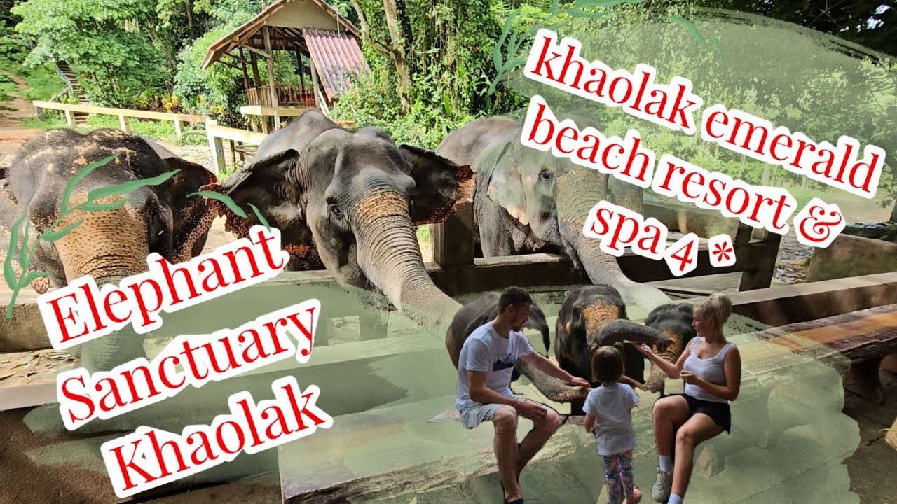 Слоновая ферма! Тайланд! Elephant Sanctuary Khaolak из отеля Khaolak emerald beach resort & spa 4 *