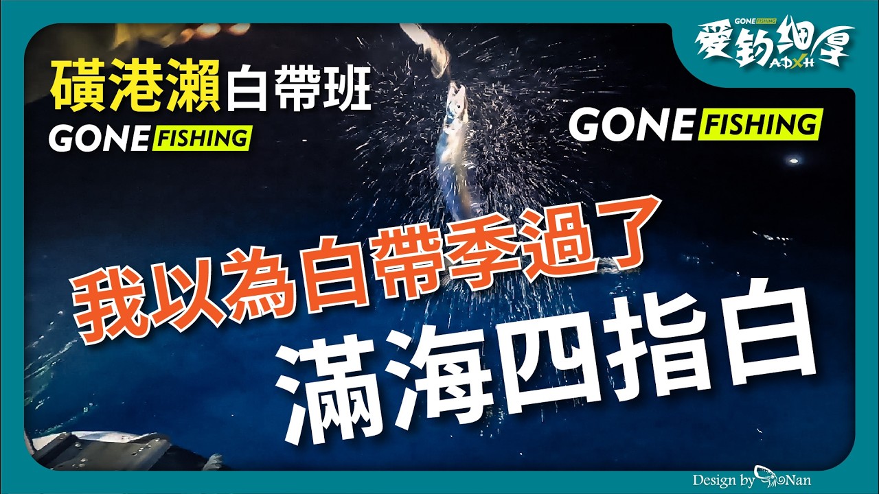 我以為白帶季過了!~磺港瀨白帶咬不停~遇到煙仔群拉爽爽~3~4指以上的白帶(東昇168號)(酷影KUYING 鋼牙天亞竿)(鬼刃GhostBlade不鏽鋼鉤)
