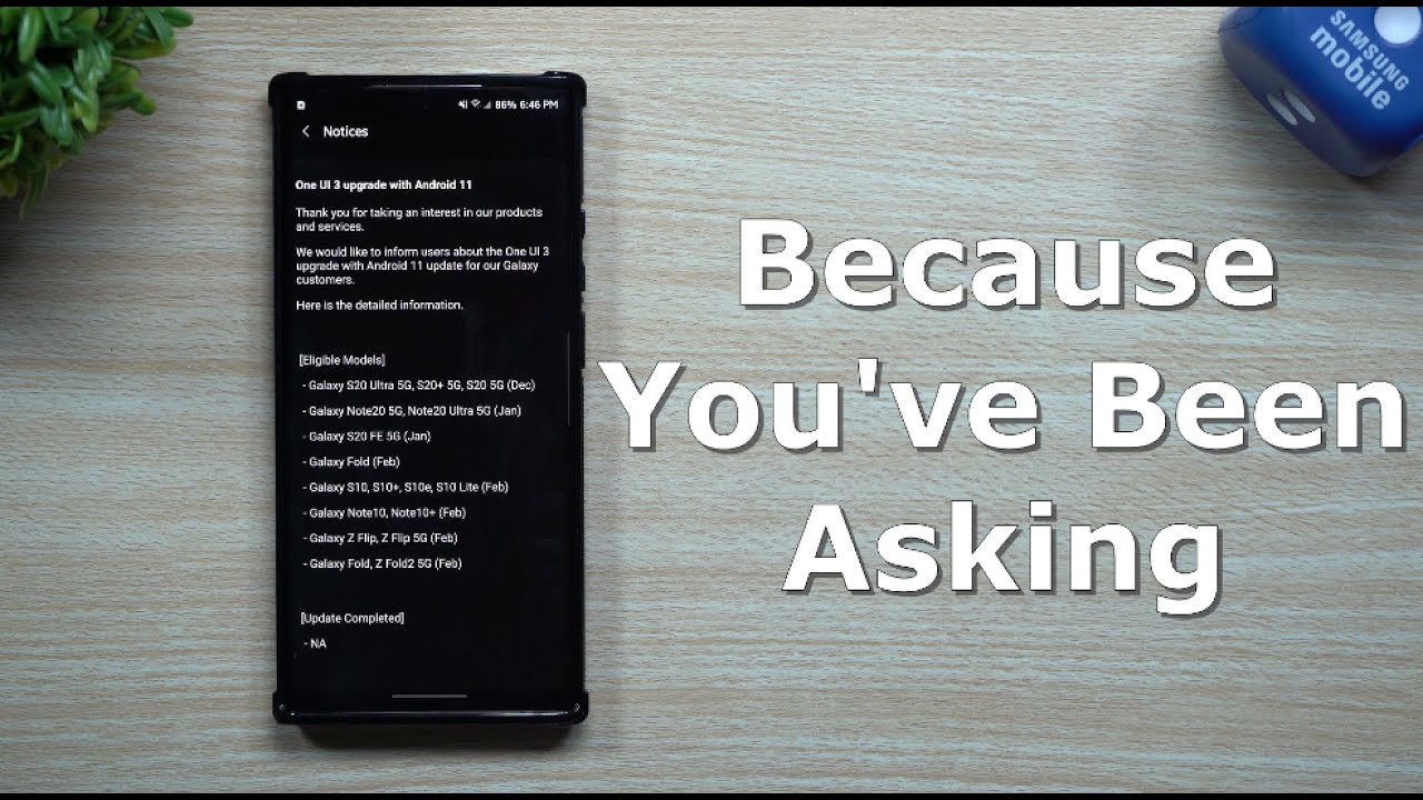 Because You've Been Asking